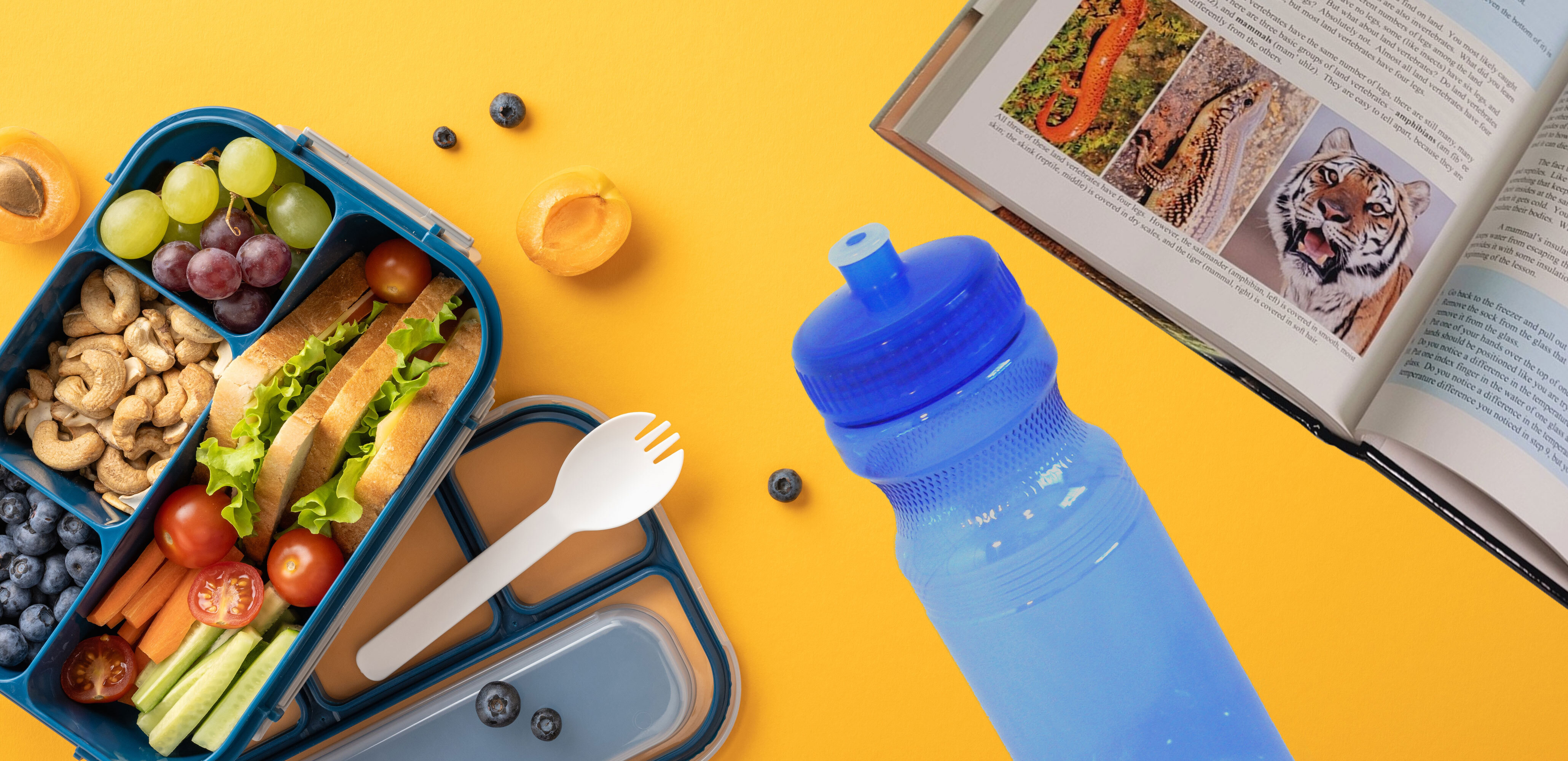 Lunchbox and water bottle.